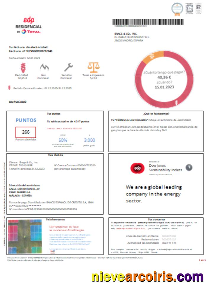 EDP Spain utility business bill